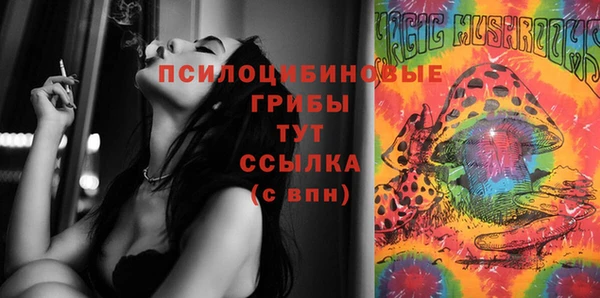 бошки Медногорск