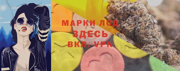 прущий лед Алзамай